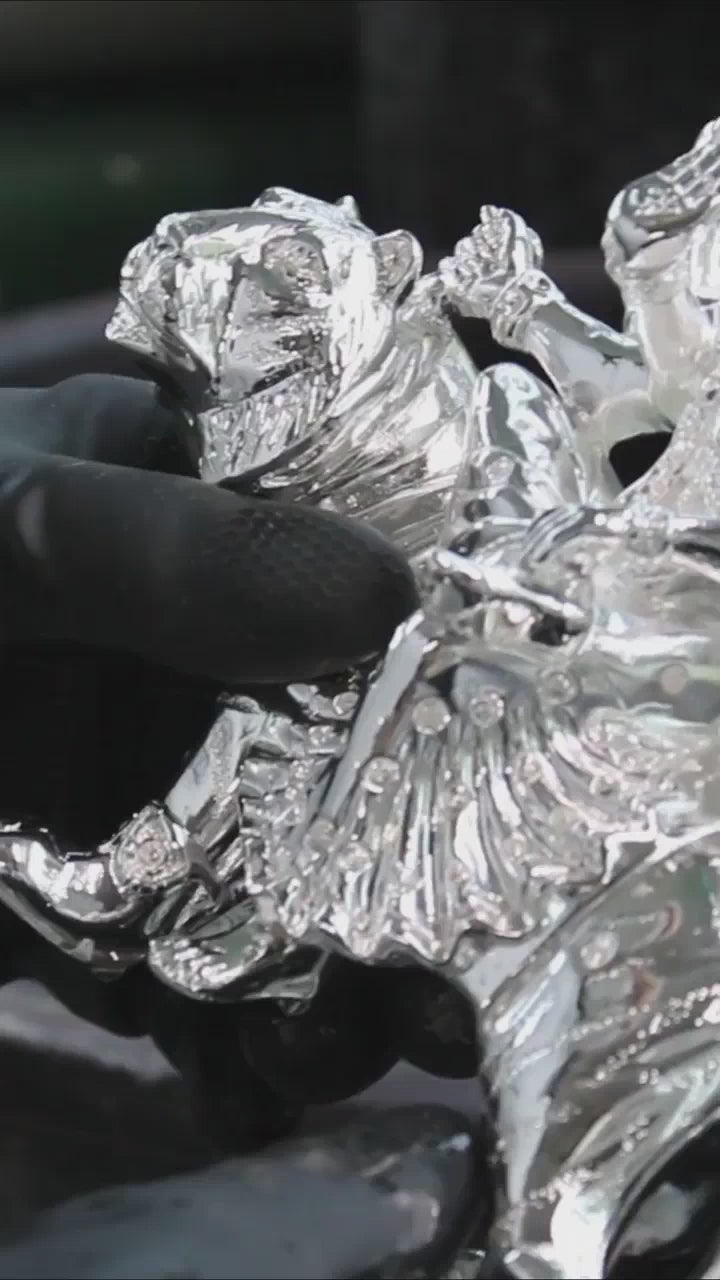 fallback text for a video